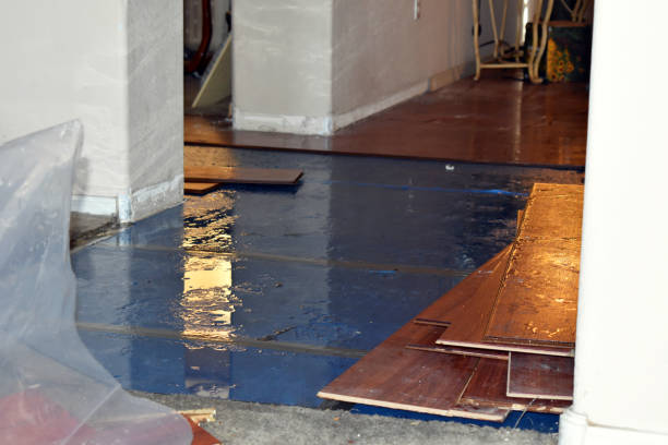 Professional Basement Flood Cleanup technician working in Monrovia, IN